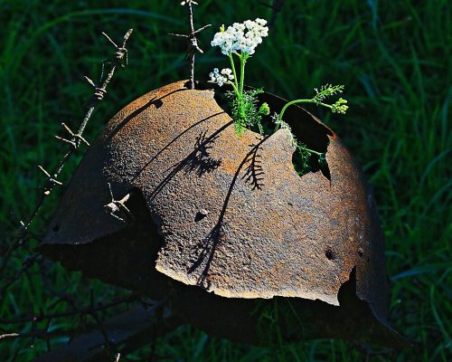 Народное голосование. ТОП-20 фотографий за 22.06.2025&nbsp;г.