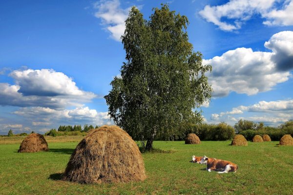 Народное голосование. ТОП-20 фотографий за 02.07.2025 г.