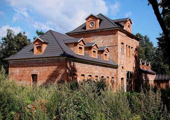 Народное голосование. ТОП-20 фотографий за 12.07.2025&nbsp;г.