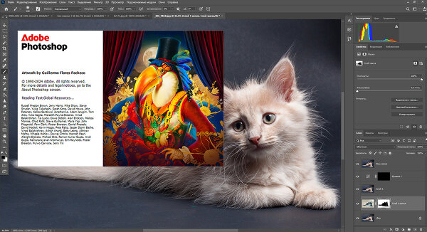 GIMP или Photoshop: что лучше в 2025?