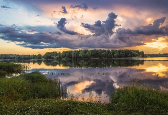 Народное голосование. ТОП-20 фотографий за 22.07.2025&nbsp;г.