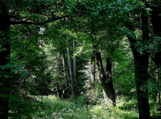 Народное голосование. ТОП-20 фотографий за 23.07.2025&nbsp;г.