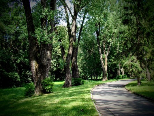 Народное голосование. ТОП-20 фотографий за 25.07.2025&nbsp;г.