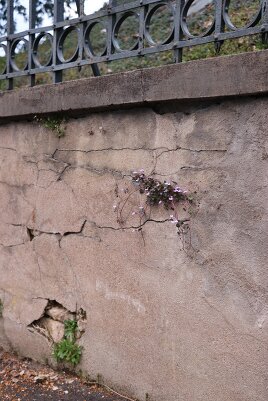 Нет лишних. France Ville code postale : 70000, 70500