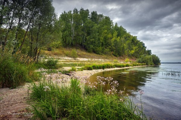 Народное голосование. ТОП-20 фотографий за 05.08.2025&nbsp;г.