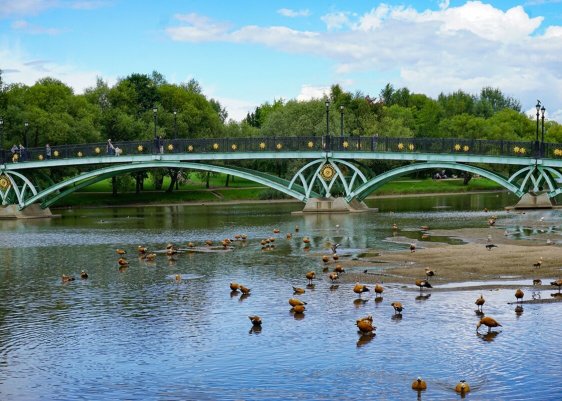 Народное голосование. ТОП-20 фотографий за 28.08.2025&nbsp;г.