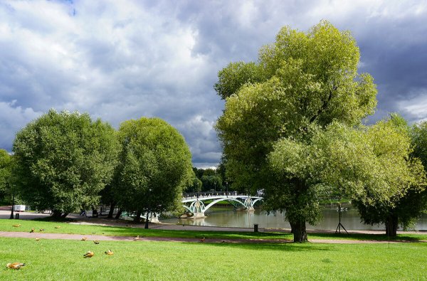 Народное голосование. ТОП-20 фотографий за 03.09.2025&nbsp;г.
