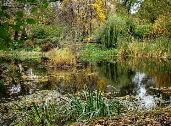 Народное голосование. ТОП-20 фотографий за 11.09.2025&nbsp;г.