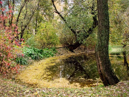 Народное голосование. ТОП-20 фотографий за 14.09.2025&nbsp;г.