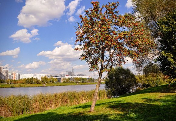 Народное голосование. ТОП-20 фотографий за 17.09.2025 г.