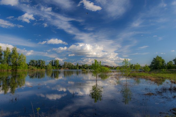 Народное голосование. ТОП-20 фотографий за 02.10.2025 г.