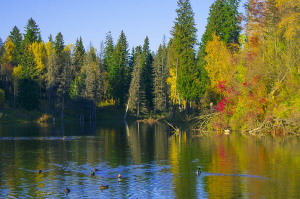 Народное голосование. ТОП-20 фотографий за 10.10.2025 г.