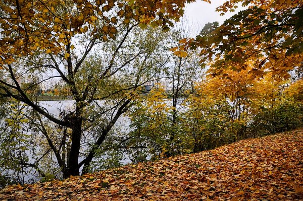 Народное голосование. ТОП-20 фотографий за 15.10.2025 г.