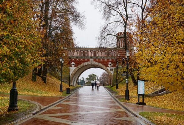 Народное голосование. ТОП-20 фотографий за 18.10.2025 г.