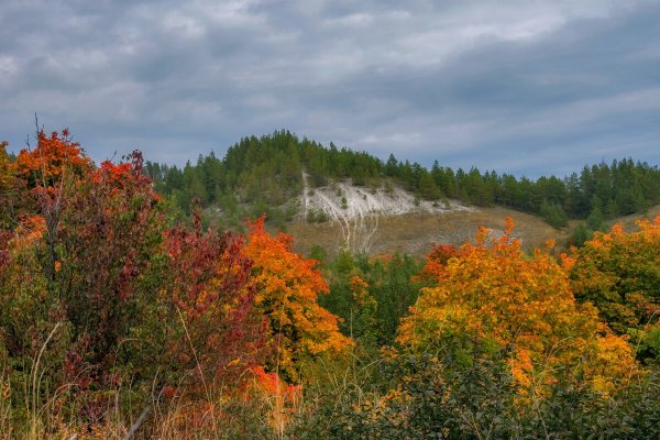 Народное голосование. ТОП-20 фотографий за 29.10.2025 г.