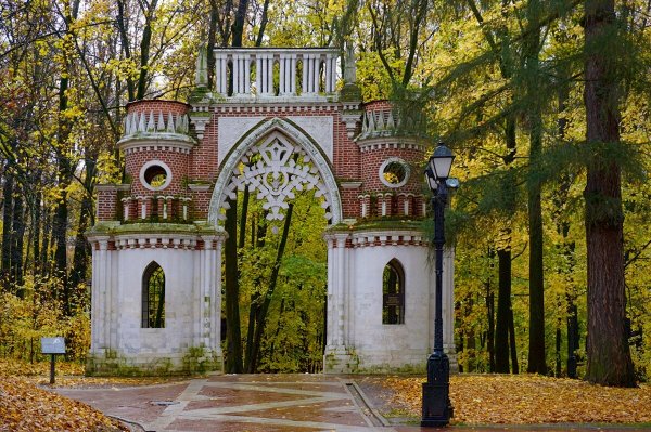 Народное голосование. ТОП-20 фотографий за 09.11.2025&nbsp;г.