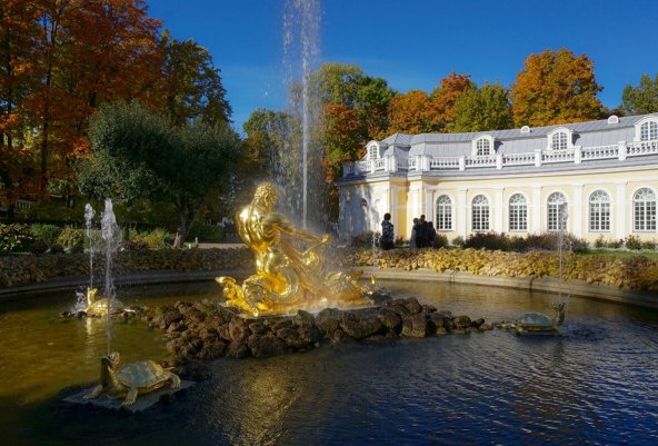 Народное голосование. ТОП-20 фотографий за 13.11.2025 г.