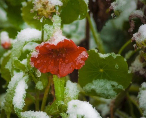 Народное голосование. ТОП-20 фотографий за 14.11.2025 г.