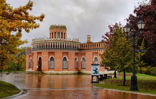 Народное голосование. ТОП-20 фотографий за 15.11.2025 г.