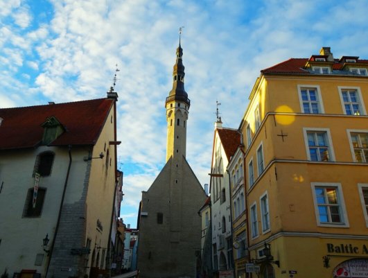 Народное голосование. ТОП-20 фотографий за 16.11.2025&nbsp;г.