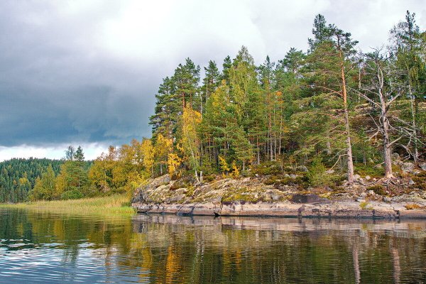 Народное голосование. ТОП-20 фотографий за 19.11.2025&nbsp;г.