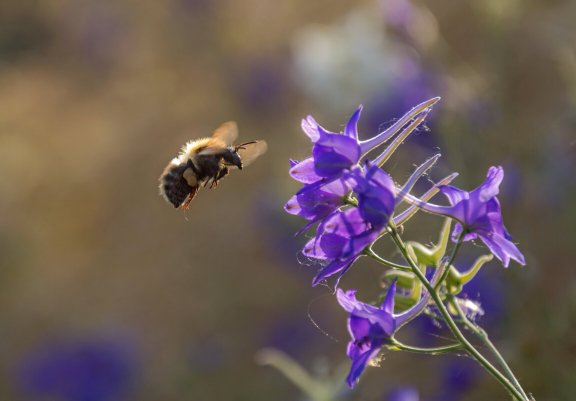 Народное голосование. ТОП-20 фотографий за 20.11.2025&nbsp;г.