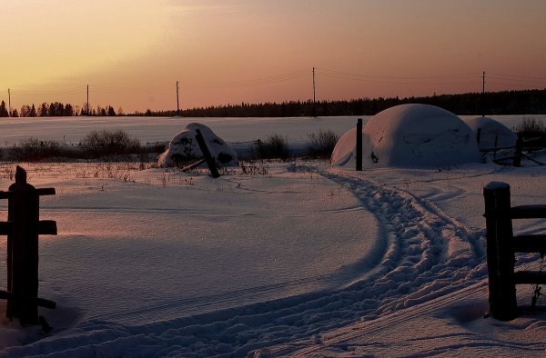 Народное голосование. ТОП-20 фотографий за 14.12.2025&nbsp;г.