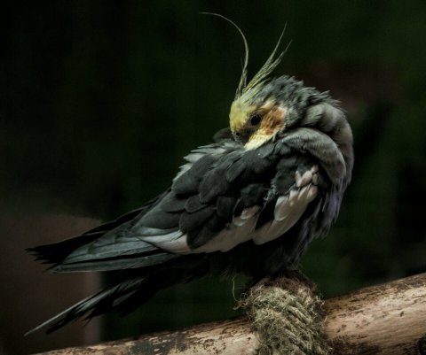 Народное голосование. ТОП-20 фотографий за 04.01.2026&nbsp;г.