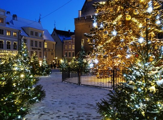 Народное голосование. ТОП-20 фотографий за 06.01.2026&nbsp;г.