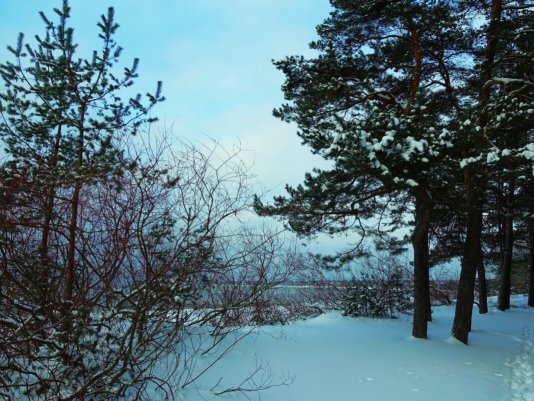 Народное голосование. ТОП-20 фотографий за 16.01.2026 г.