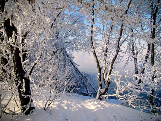 Народное голосование. ТОП-20 фотографий за 24.01.2026 г.