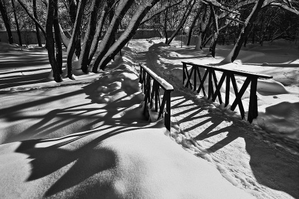 Народное голосование. ТОП-20 фотографий за 07.02.2026 г.