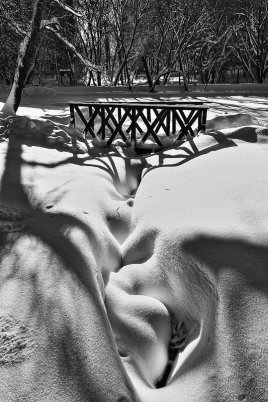 Народное голосование. ТОП-20 фотографий за 14.02.2026&nbsp;г.