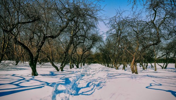 Народное голосование. ТОП-20 фотографий за 05.03.2026 г.