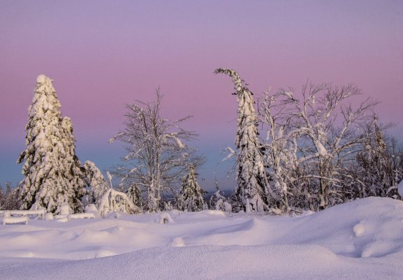 Народное голосование. ТОП-20 фотографий за 06.03.2026 г.