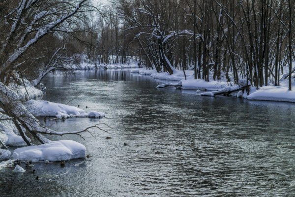 Народное голосование. ТОП-20 фотографий за 09.03.2026 г.