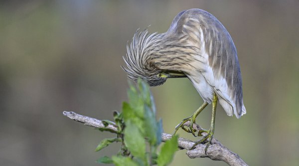 Народное голосование. ТОП-20 фотографий за 10.03.2026 г.