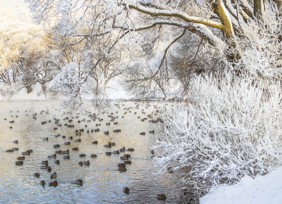 Народное голосование. ТОП-20 фотографий за 12.03.2026 г.