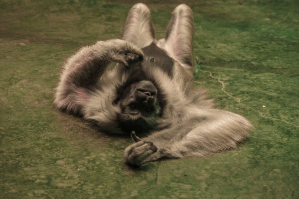 Народное голосование. ТОП-20 фотографий за 13.03.2026 г.