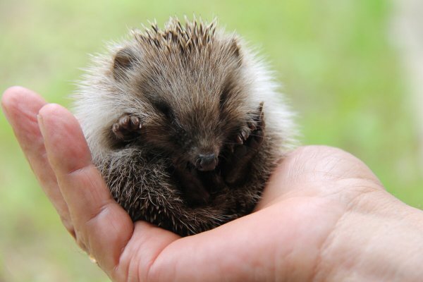 Народное голосование. ТОП-20 фотографий за 18.03.2026 г.