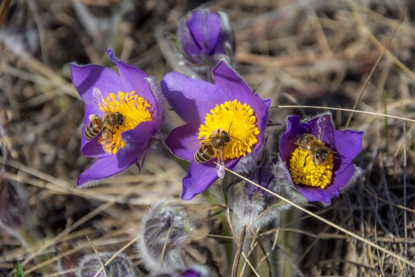 Народное голосование. ТОП-20 фотографий за 19.03.2026 г.