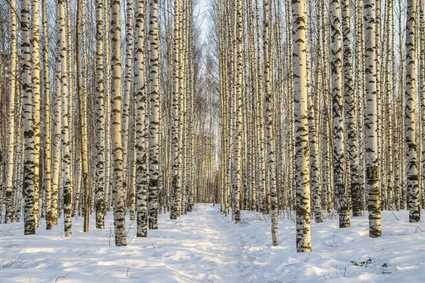 Народное голосование. ТОП-20 фотографий за 24.03.2026&nbsp;г.
