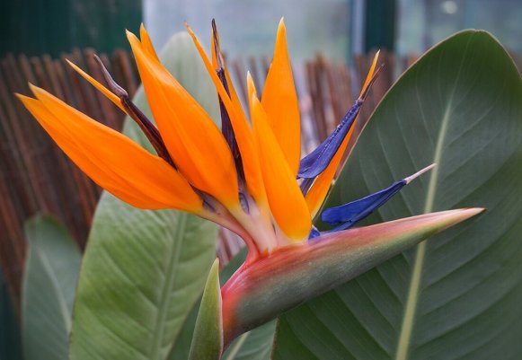 Народное голосование. ТОП-20 фотографий за 13.04.2026&nbsp;г.