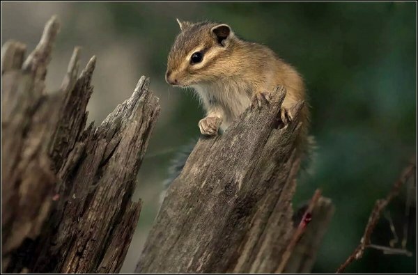 Народное голосование. ТОП-20 фотографий за 15.04.2026&nbsp;г.