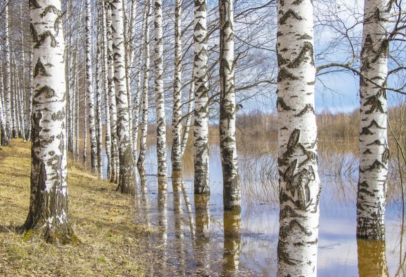 Народное голосование. ТОП-20 фотографий за 16.04.2026&nbsp;г.