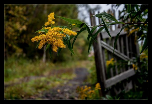 Народное голосование. ТОП-20 фотографий за 19.04.2026&nbsp;г.