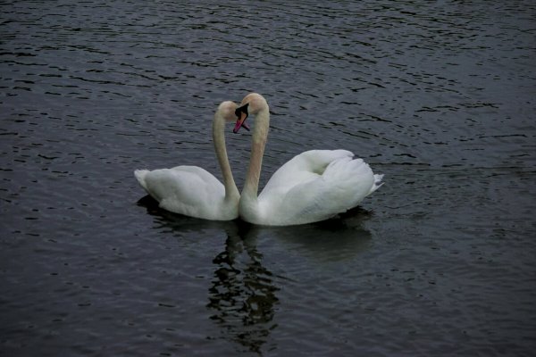 Народное голосование. ТОП-20 фотографий за 24.04.2026&nbsp;г.