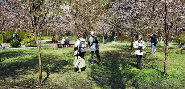Народное голосование. ТОП-20 фотографий за 26.04.2026&nbsp;г.