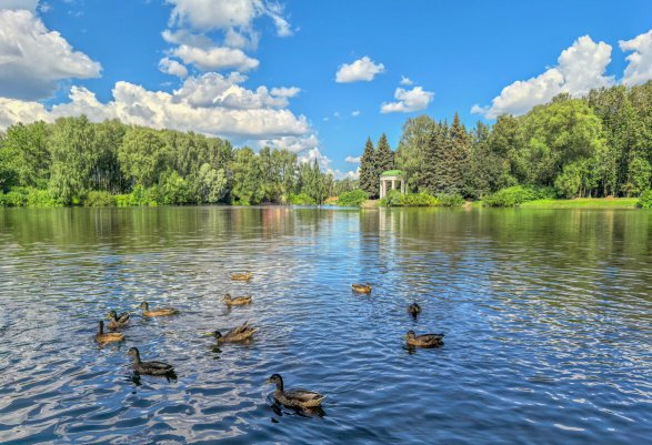 Народное голосование. ТОП-20 фотографий за 07.05.2026&nbsp;г.