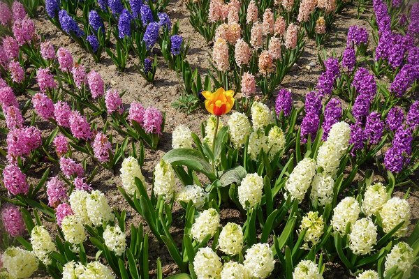 Народное голосование. ТОП-20 фотографий за 13.05.2026&nbsp;г.